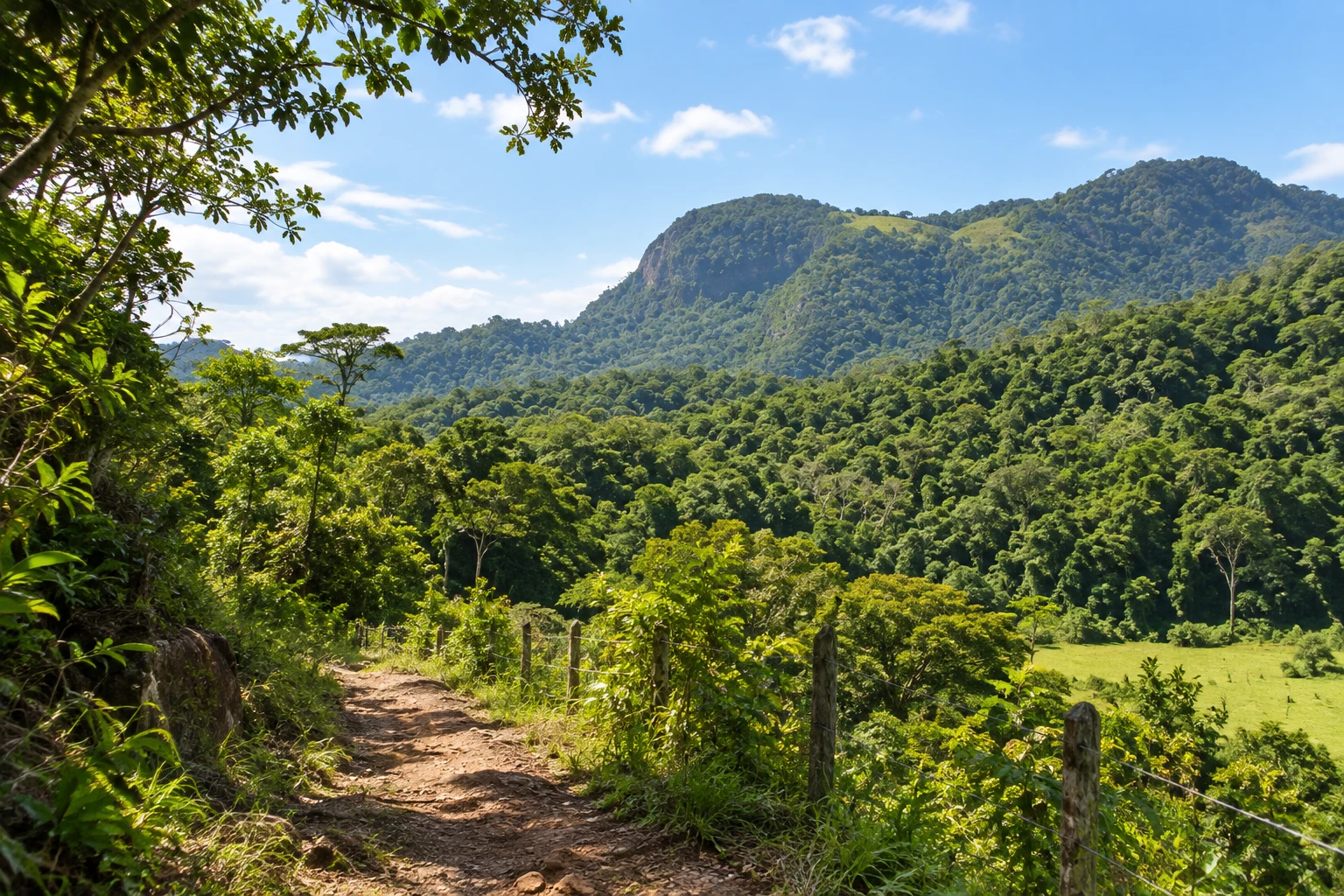 Parque Estadual Mata das Flores