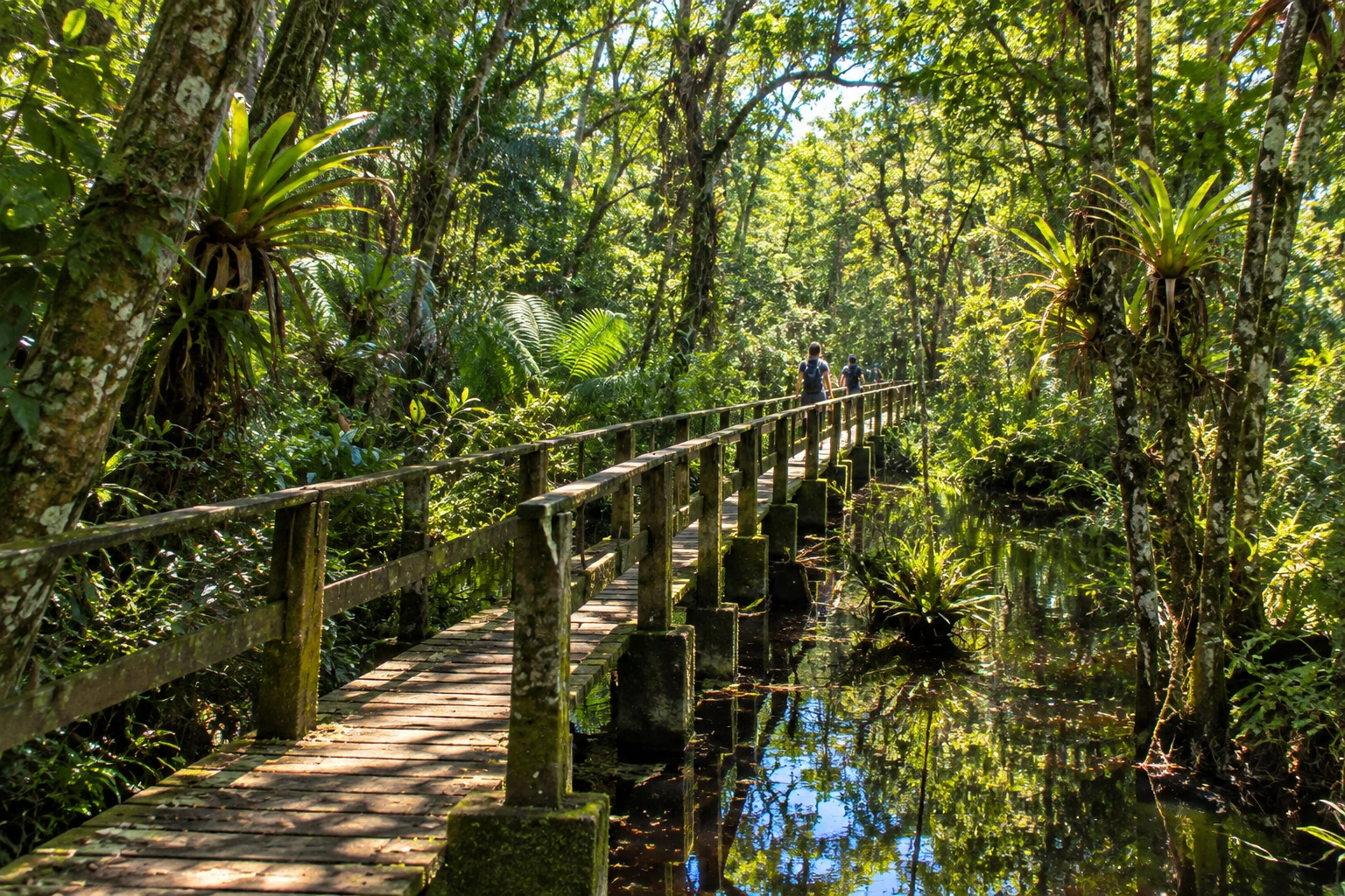 Parque Estadual Rio da Onça