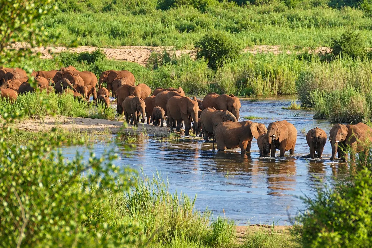 South Africa