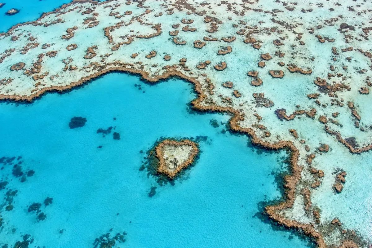 Heart Reef, Grande Barreira de Corais