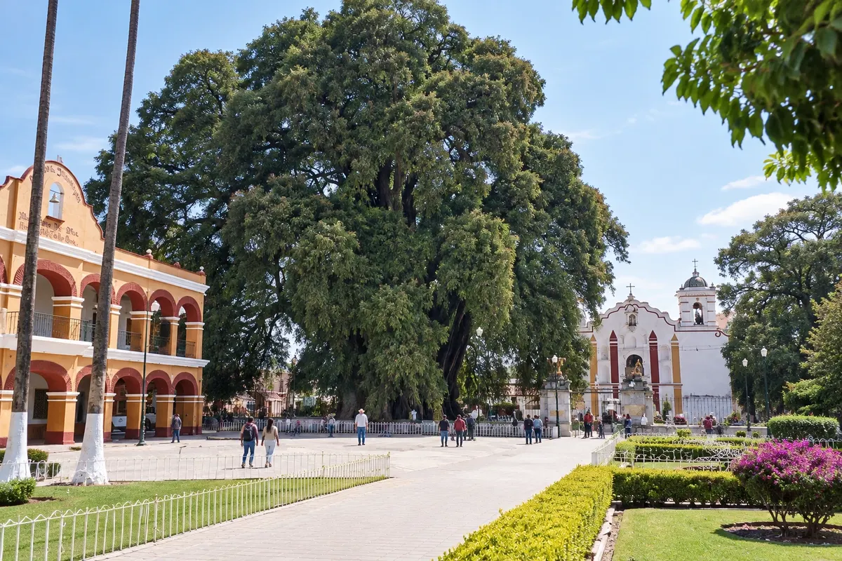 Árbol del Tule