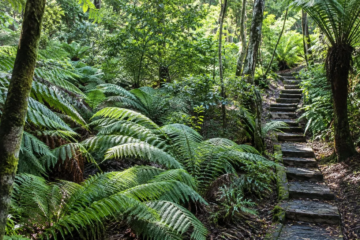 Australian National Botanic Gardens