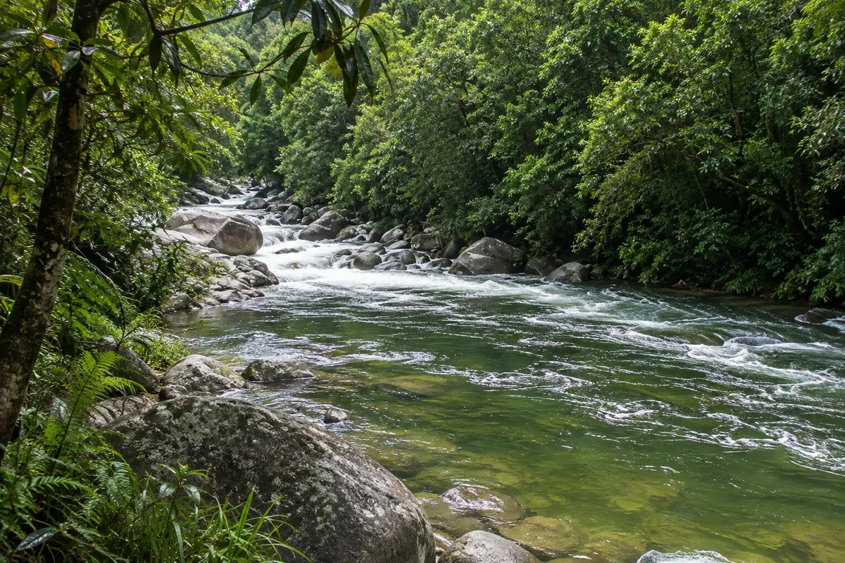 Mossman Gorge