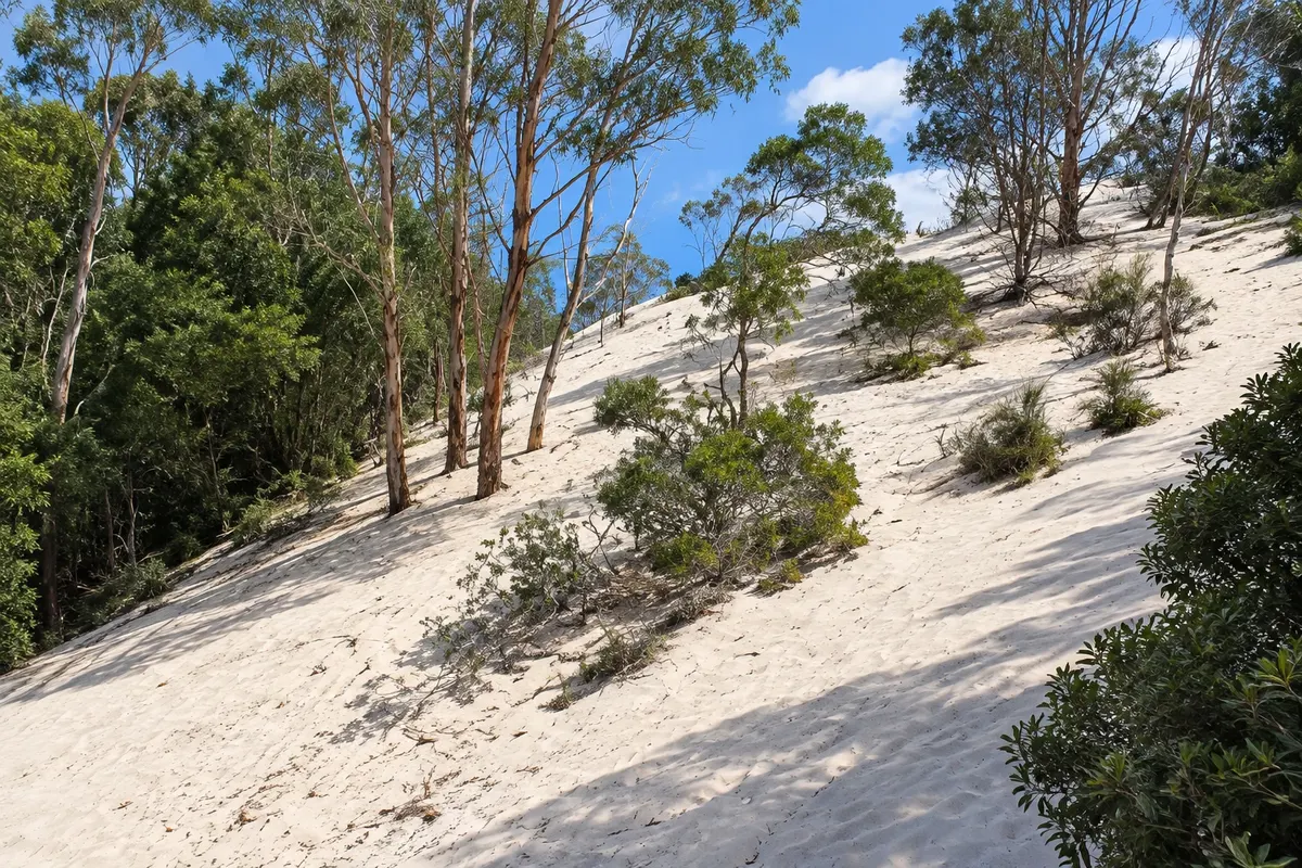 Dunas de Henty