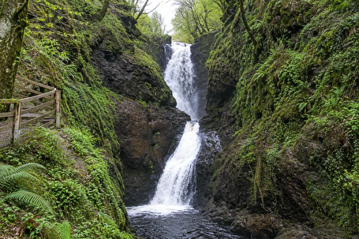 Glenariff Forest Park