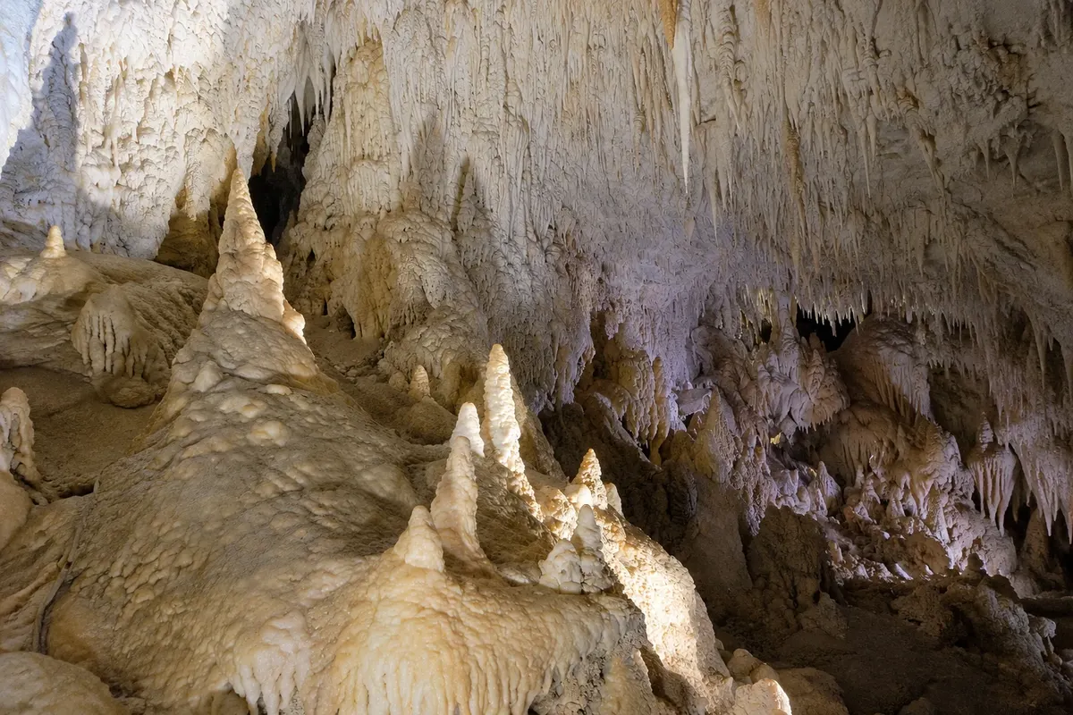 Ruakuri Cave