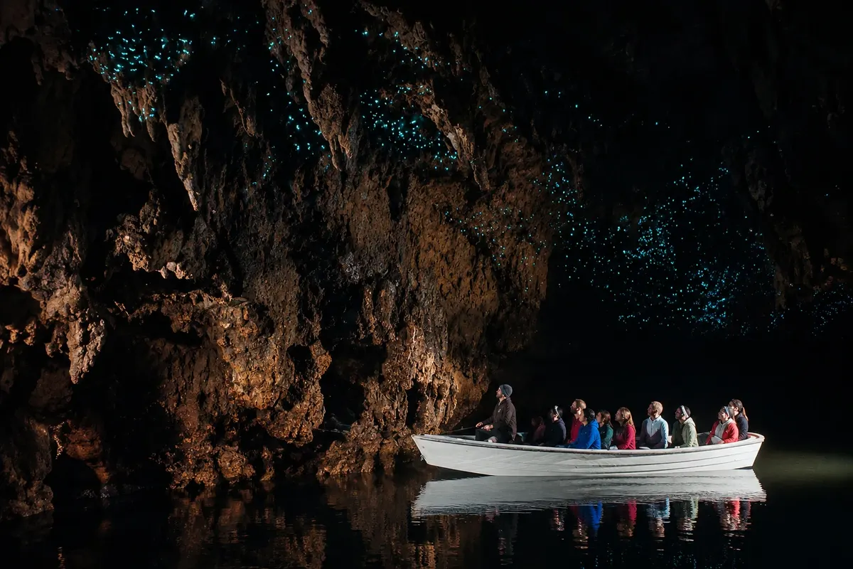 Waitomo Glowworm Caves