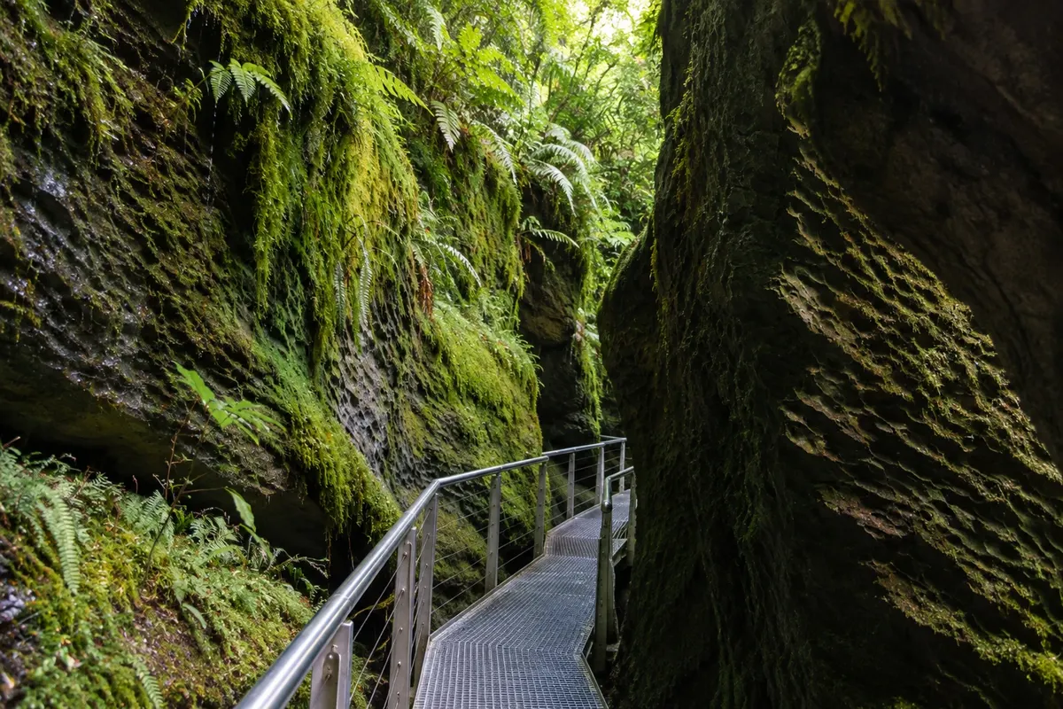 Te Anau Glowworm Caves