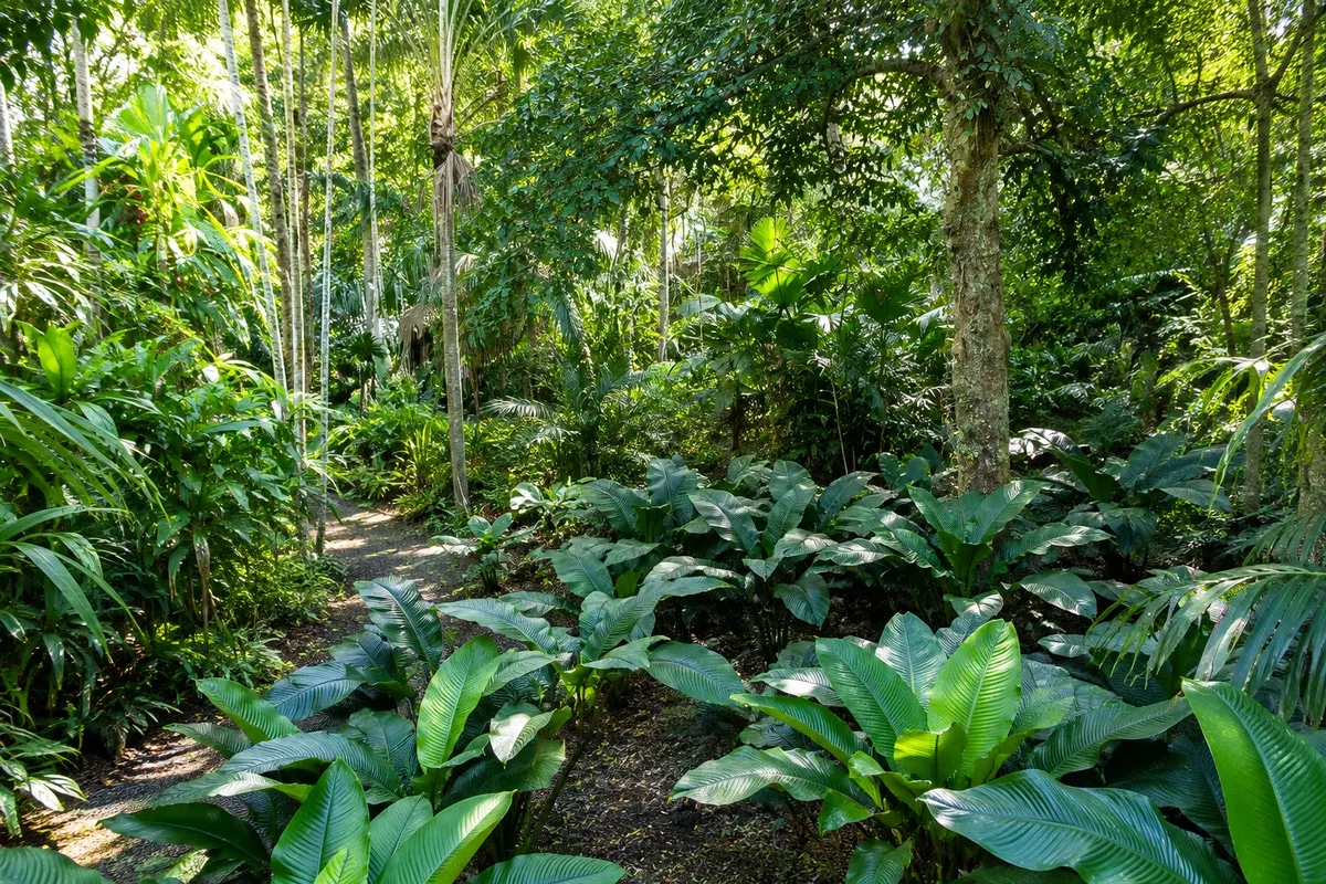 Cairns Botanic Gardens