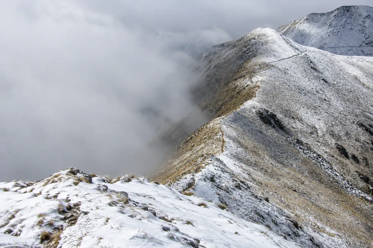 Kepler Track