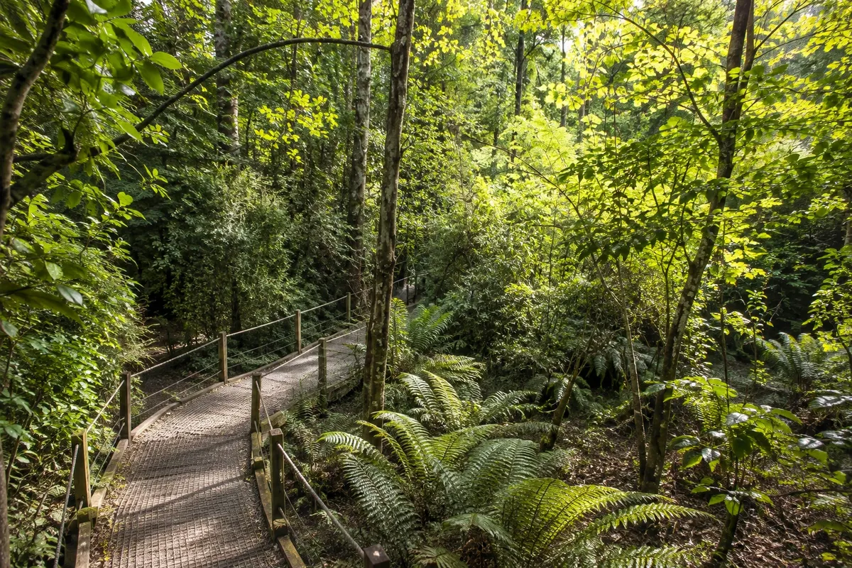 Kiwi Birdlife Park