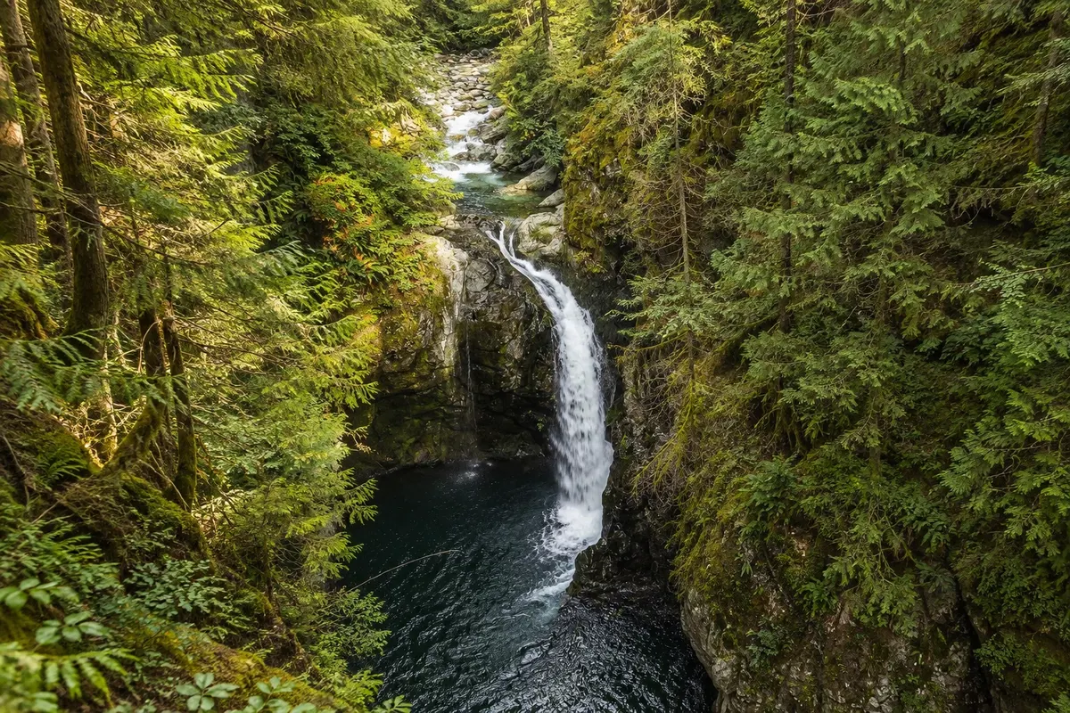Parque Lynn Canyon