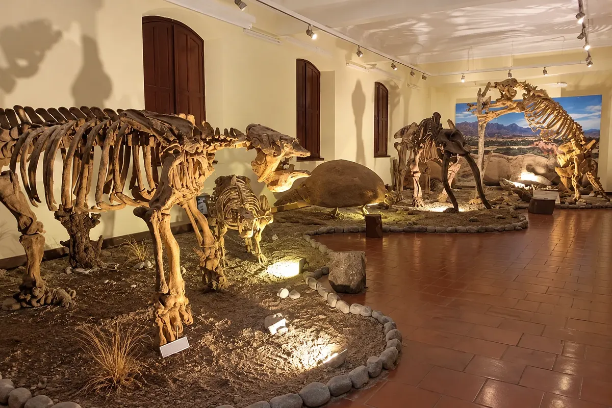 Museo Nacional Paleontológico y Arqueológico
