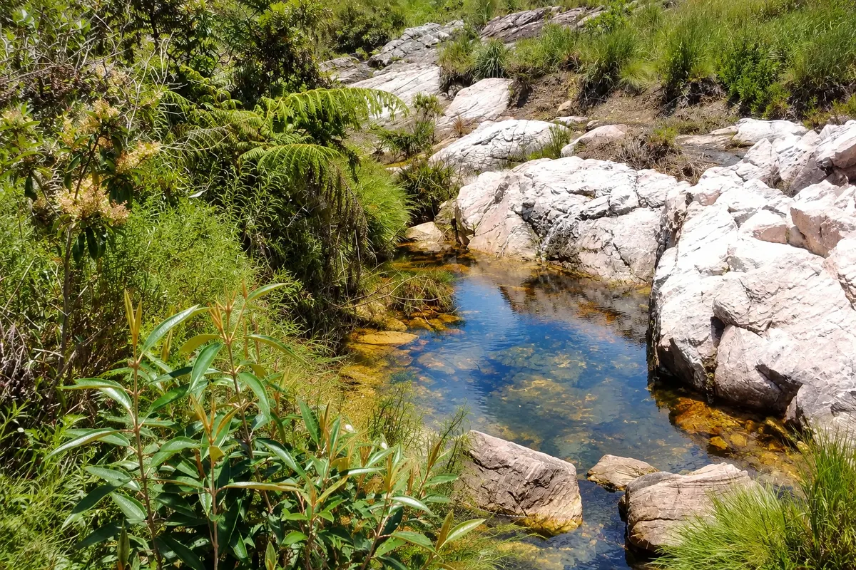 Historic Source of the São Francisco River