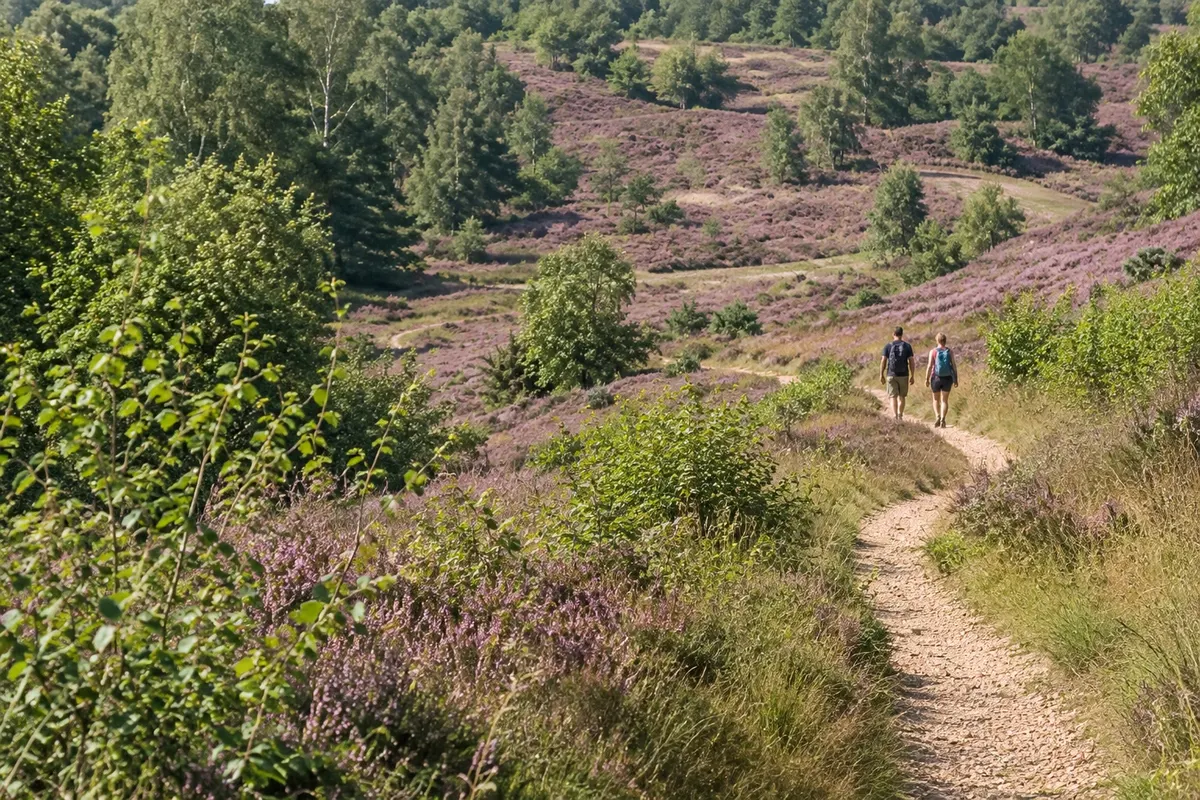 Nationaal Park Hoge Kempen