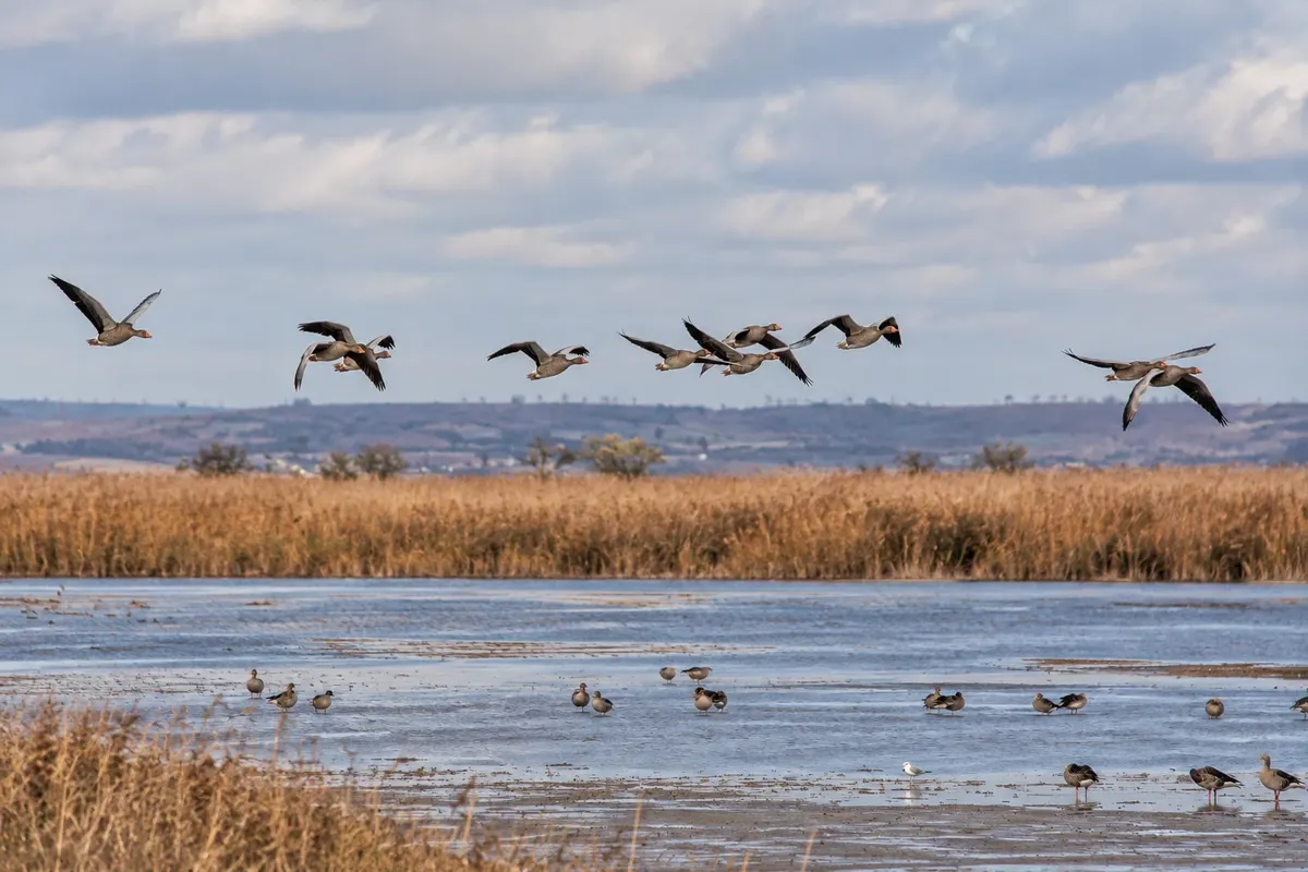 Nationalpark Neusiedler See-Seewinkel