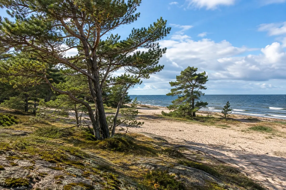 Örö