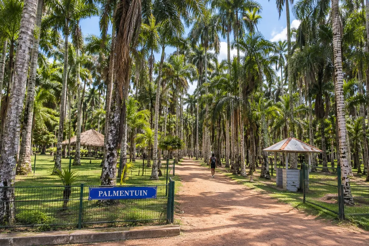 Palmentuin