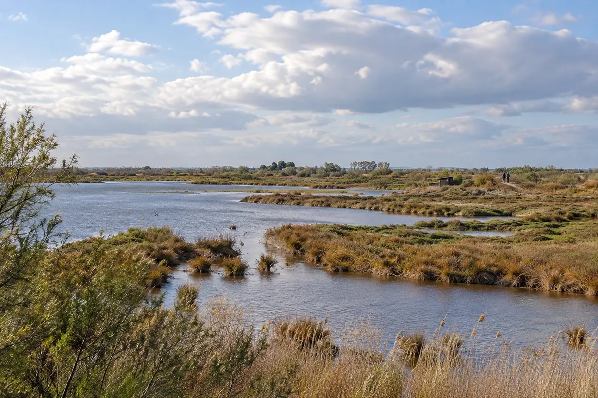 Parc ornithologique du Pont de Gau