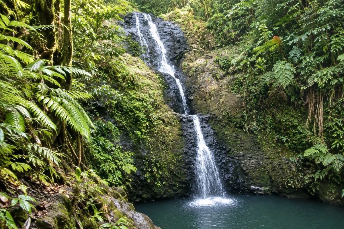 Parque Florestal de Colo-i-Suva (Colo-i-Suva Forest Park)