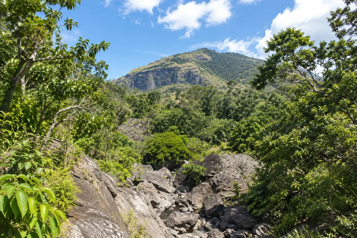 Parque Koroyanitu (Koroyanitu National Heritage Park)