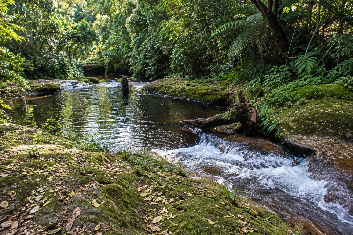 Parque Nacional Amboró