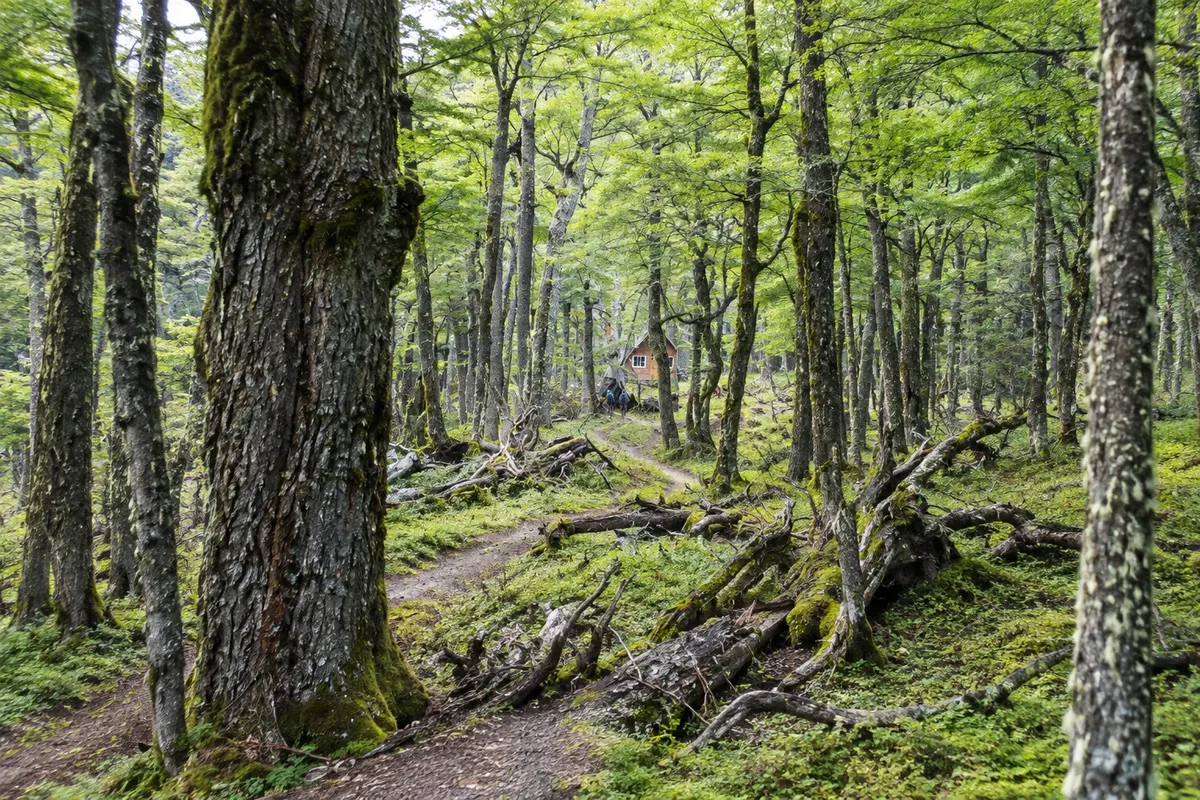 Parque Nacional Cerro Castillo