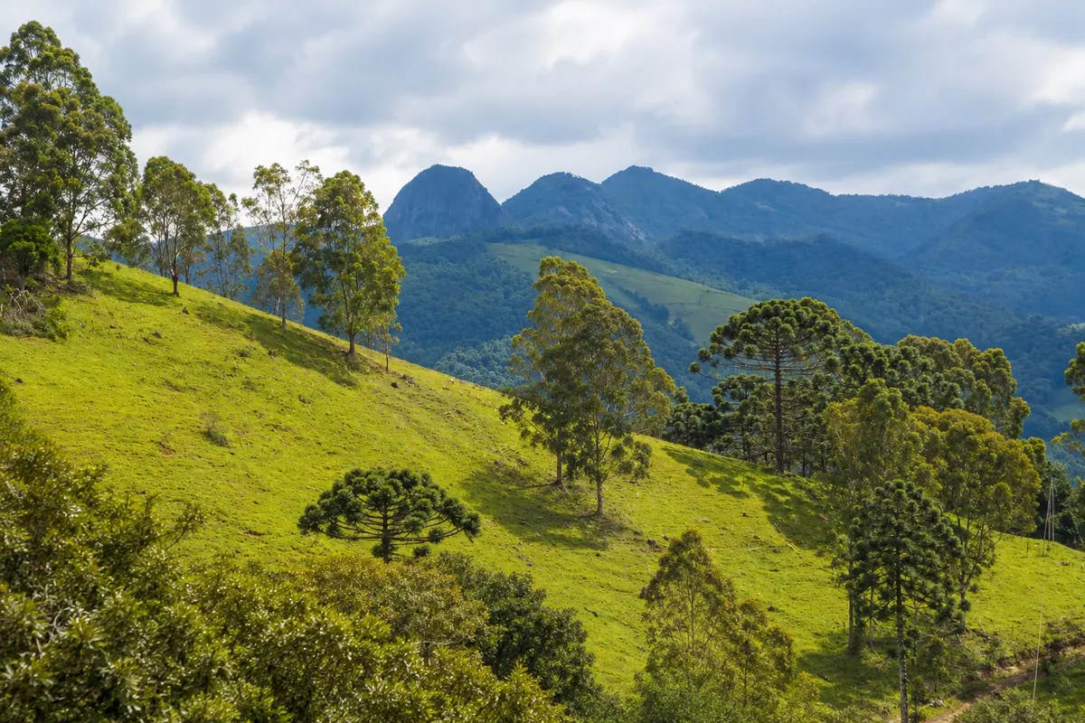 Pedra do Forno