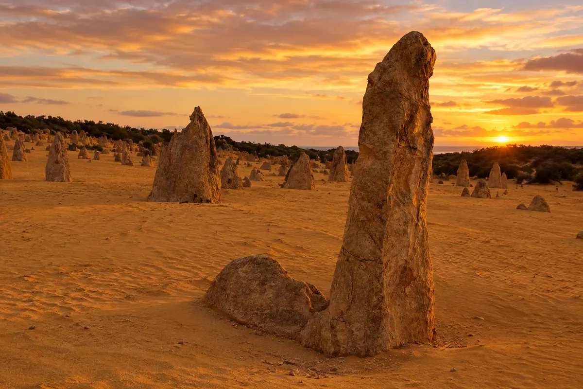 The Pinnacles (Nambung National Park)