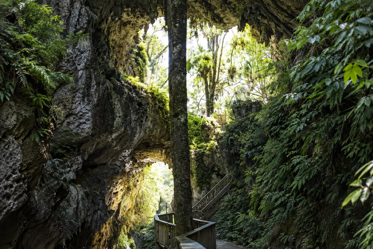 Mangapohue Natural Bridge