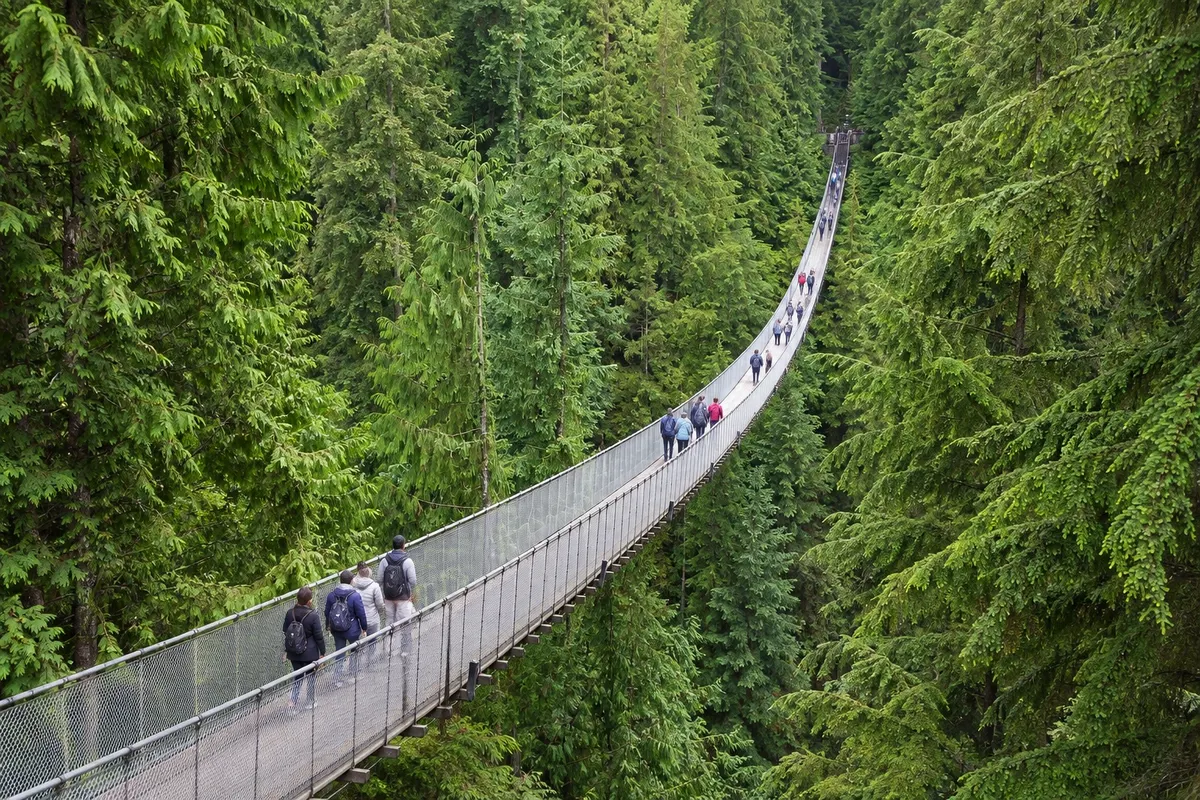 Puente Colgante Capilano