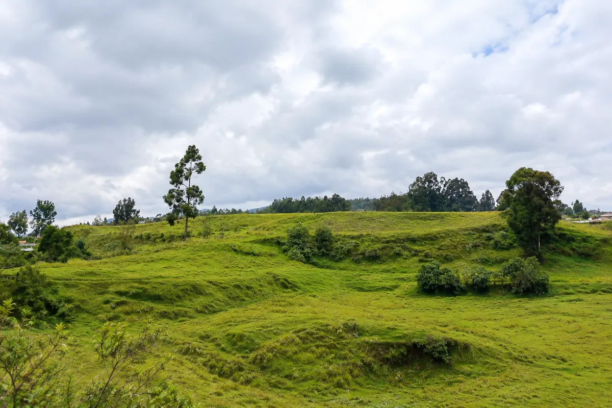Puntiatzil