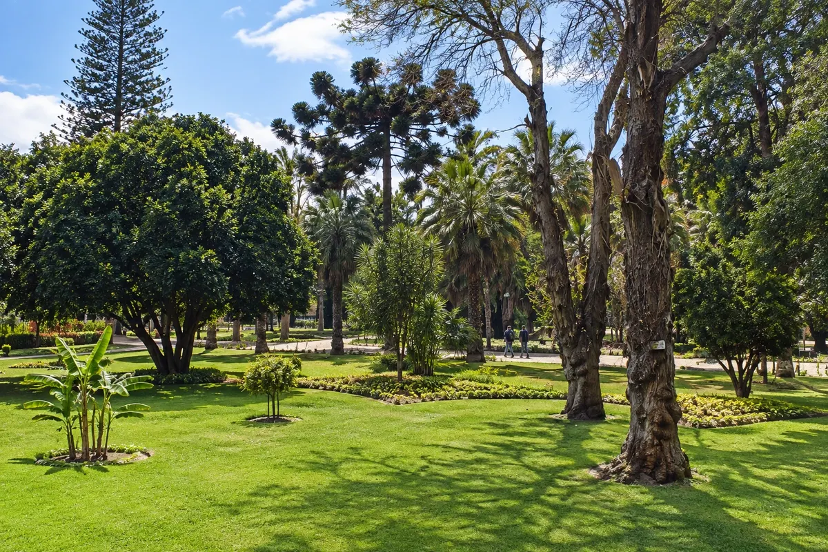 Quinta Vergara