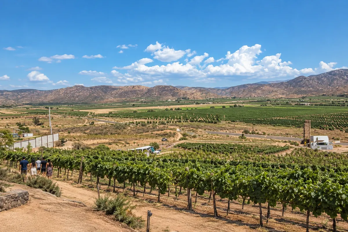 Ruta del Vino del Valle de Guadalupe