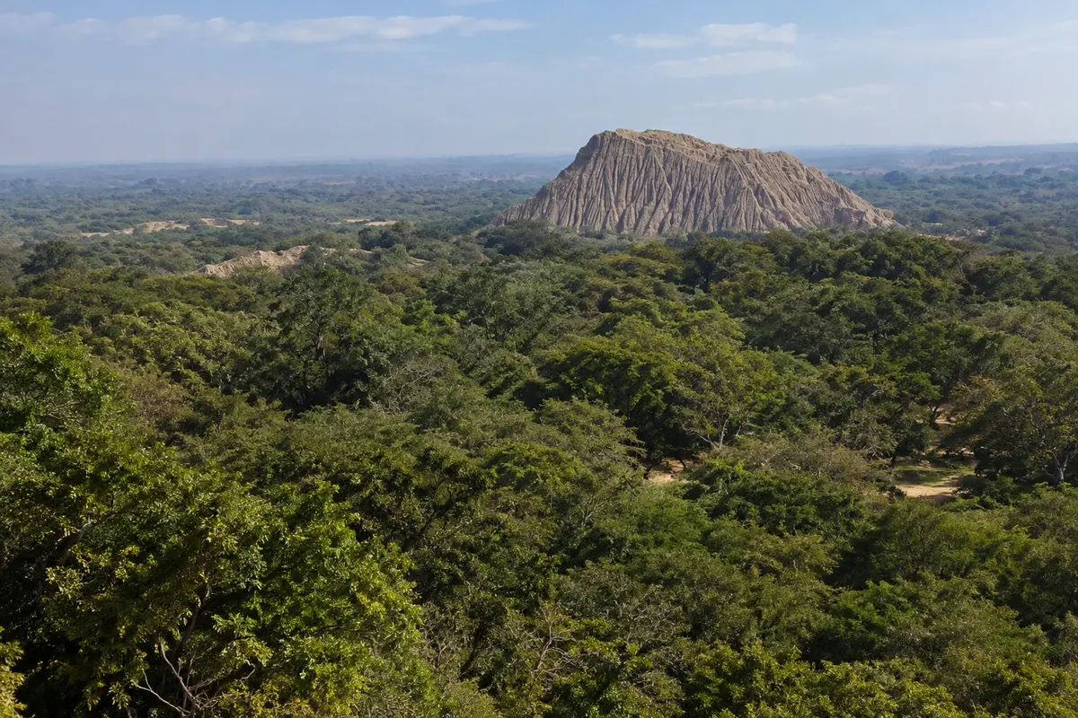 Santuario Histórico Bosque de Pómac
