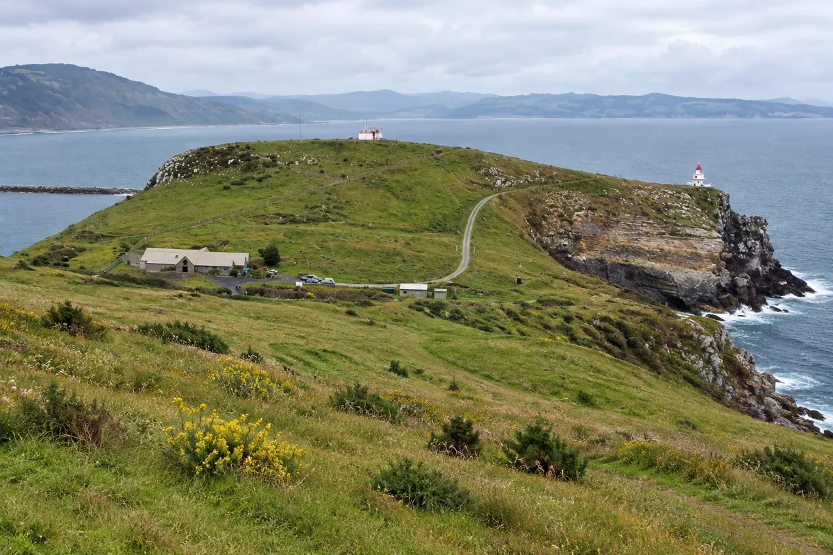 Taiaroa Head (Royal Albatross Centre)