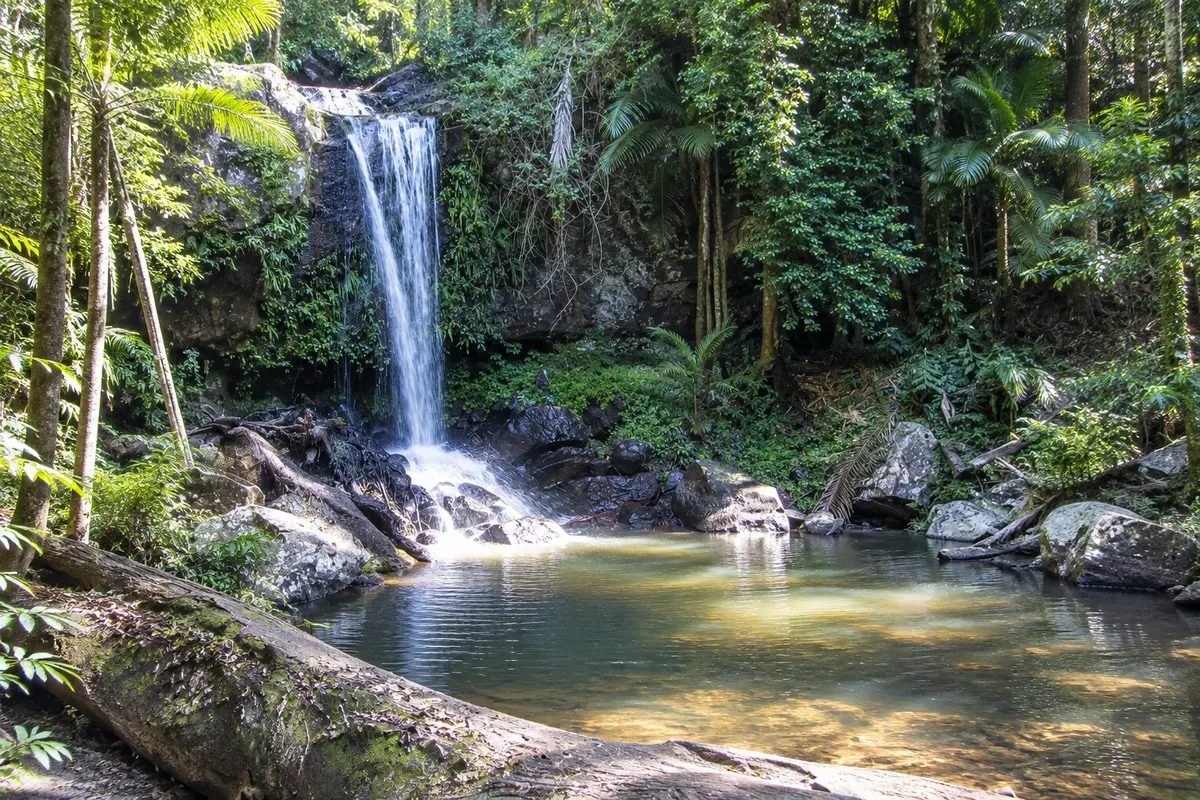 Tamborine National Park