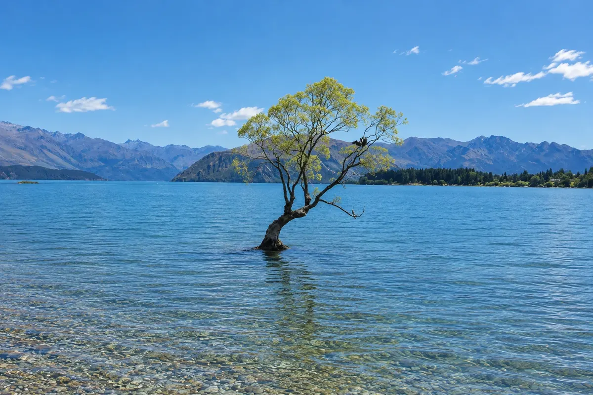 That Wanaka Tree