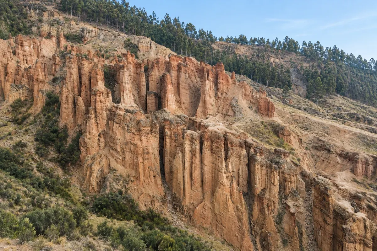 Bosque de Piedras de Torre Torre