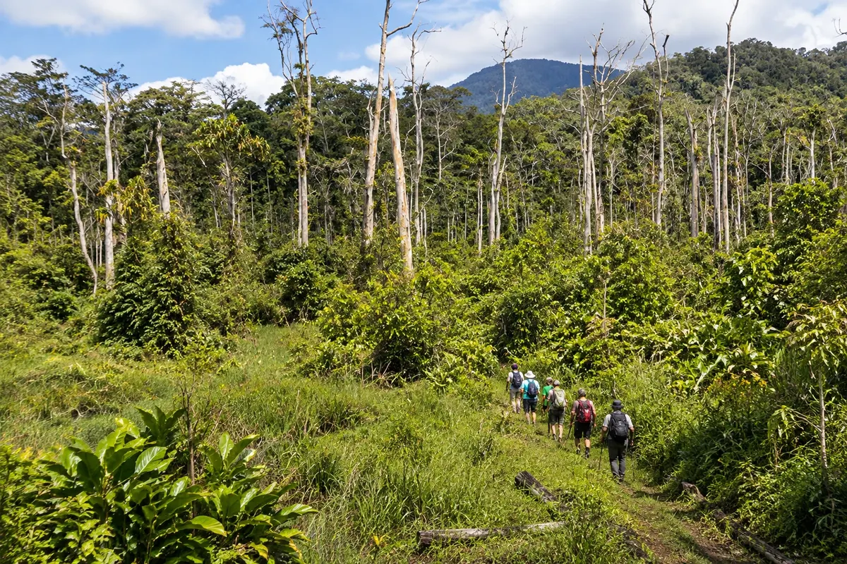 Kokoda Track