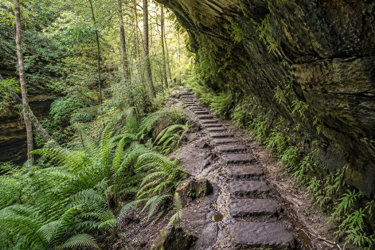 Grand Canyon Track
