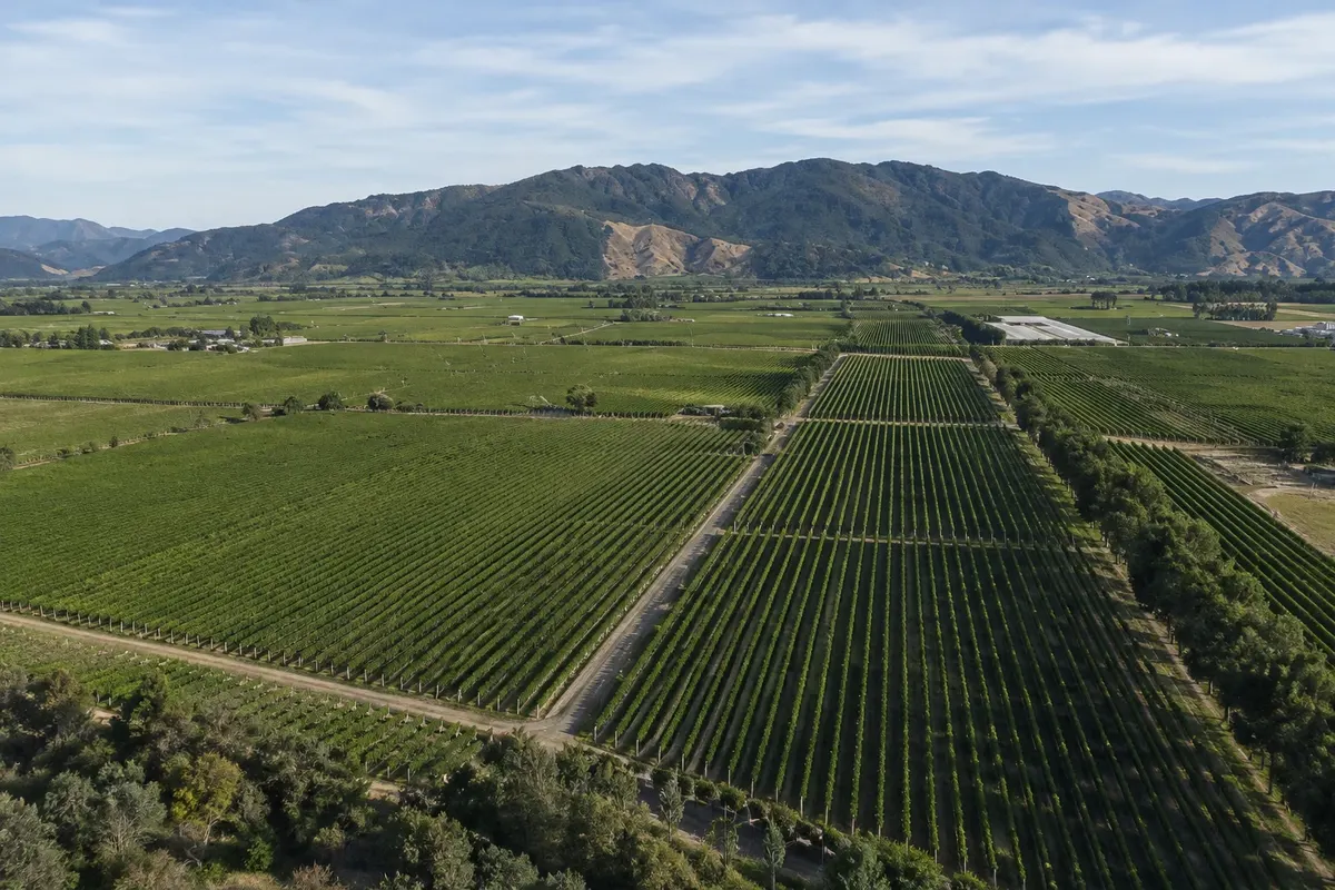 Wairau Valley