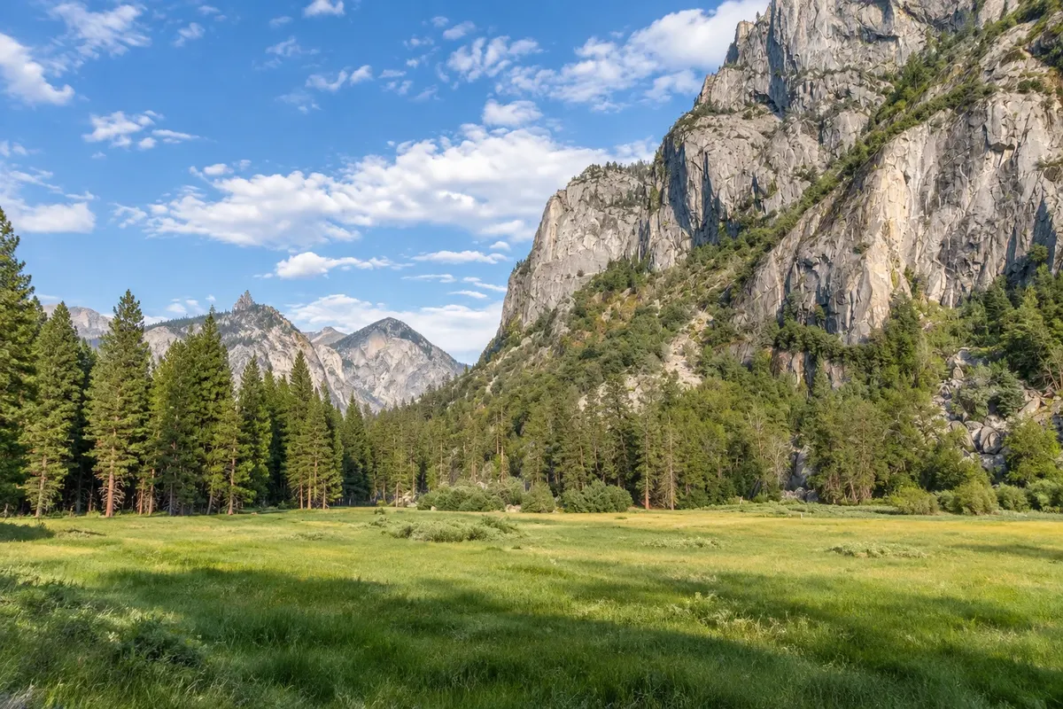 Zumwalt Meadow and Cedar Grove