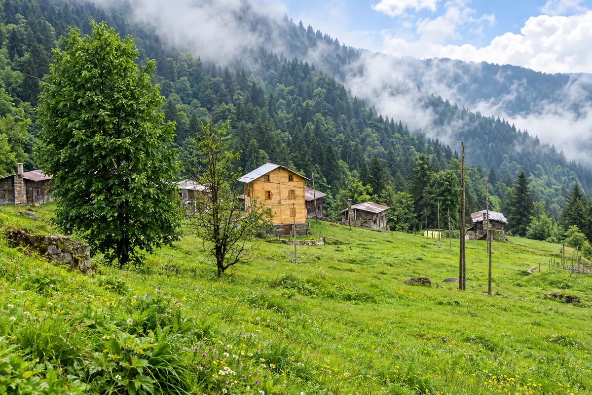 Ayder