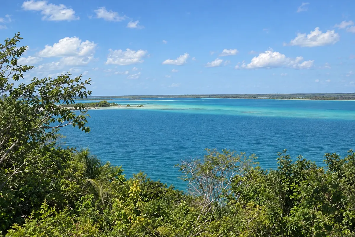 Bacalar
