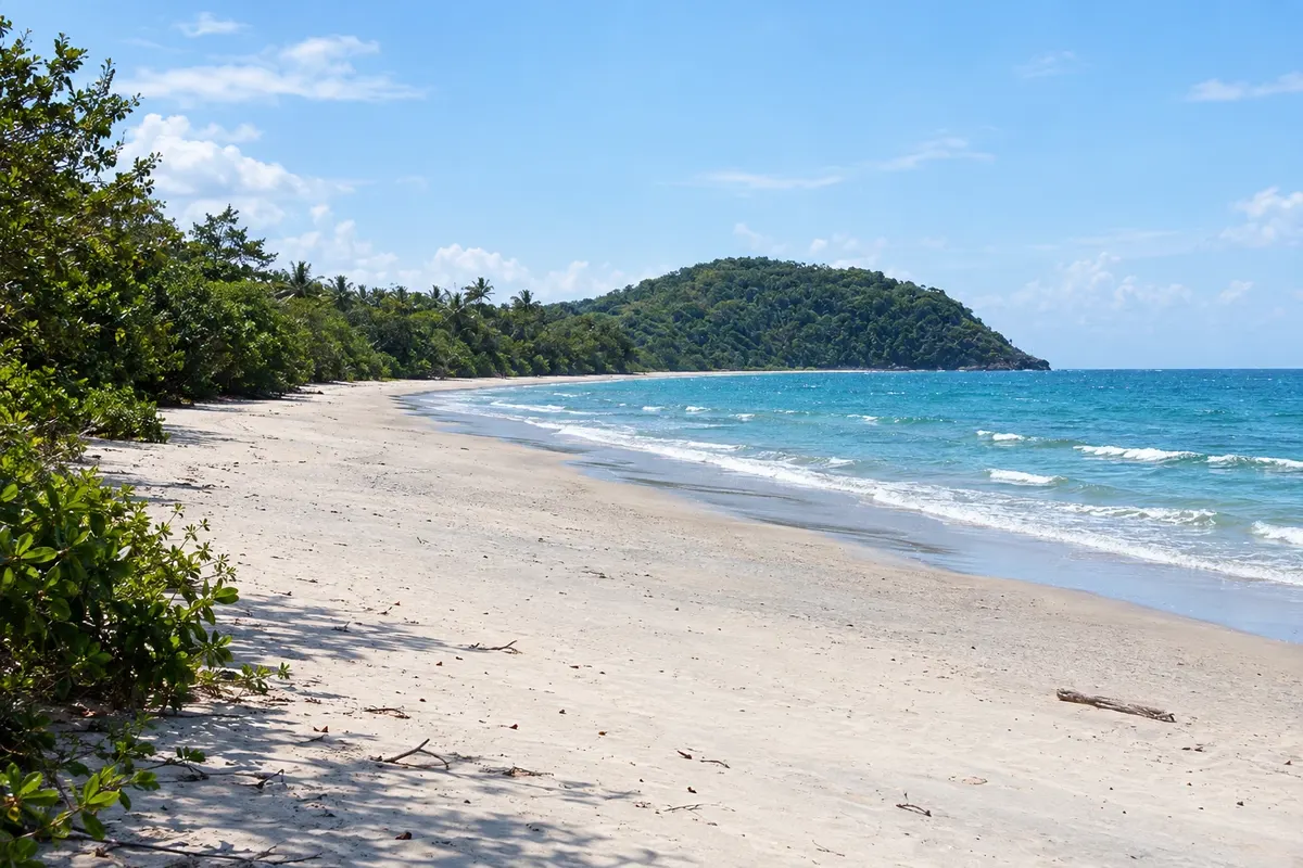 Cape Tribulation