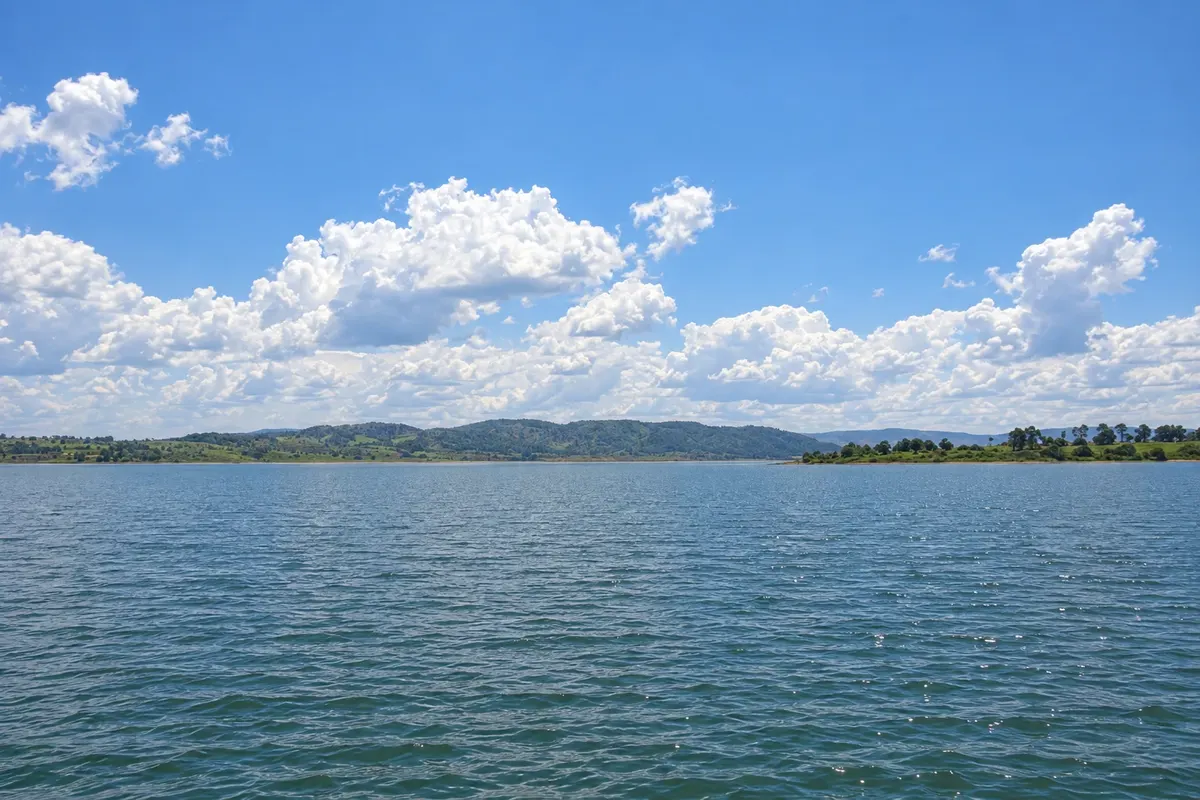 Delfinópolis