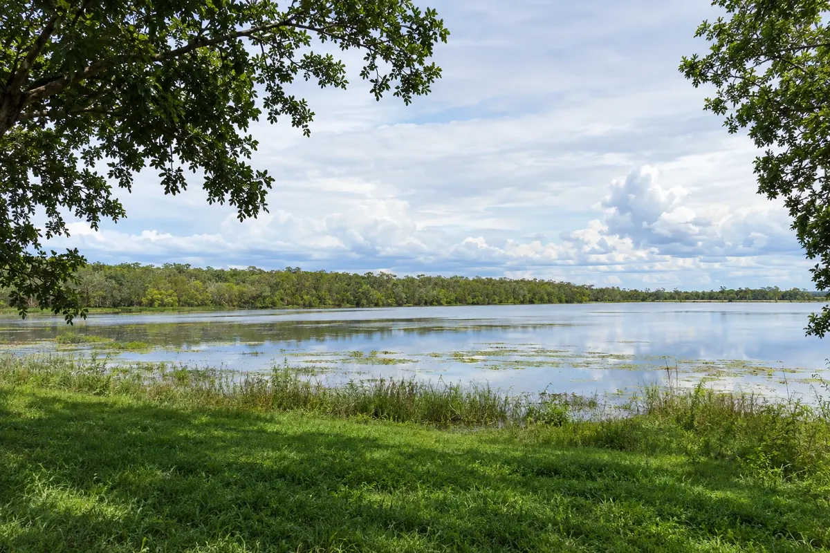 Jabiru