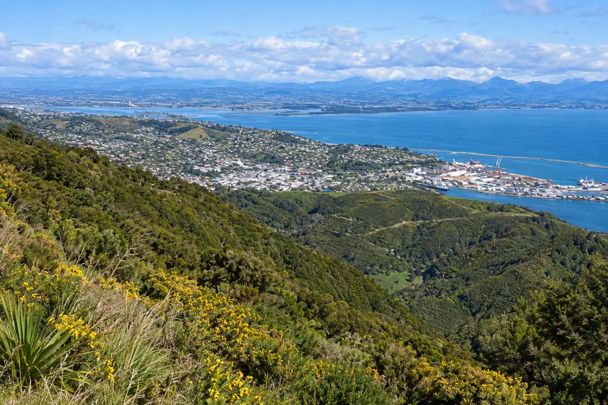 Nelson