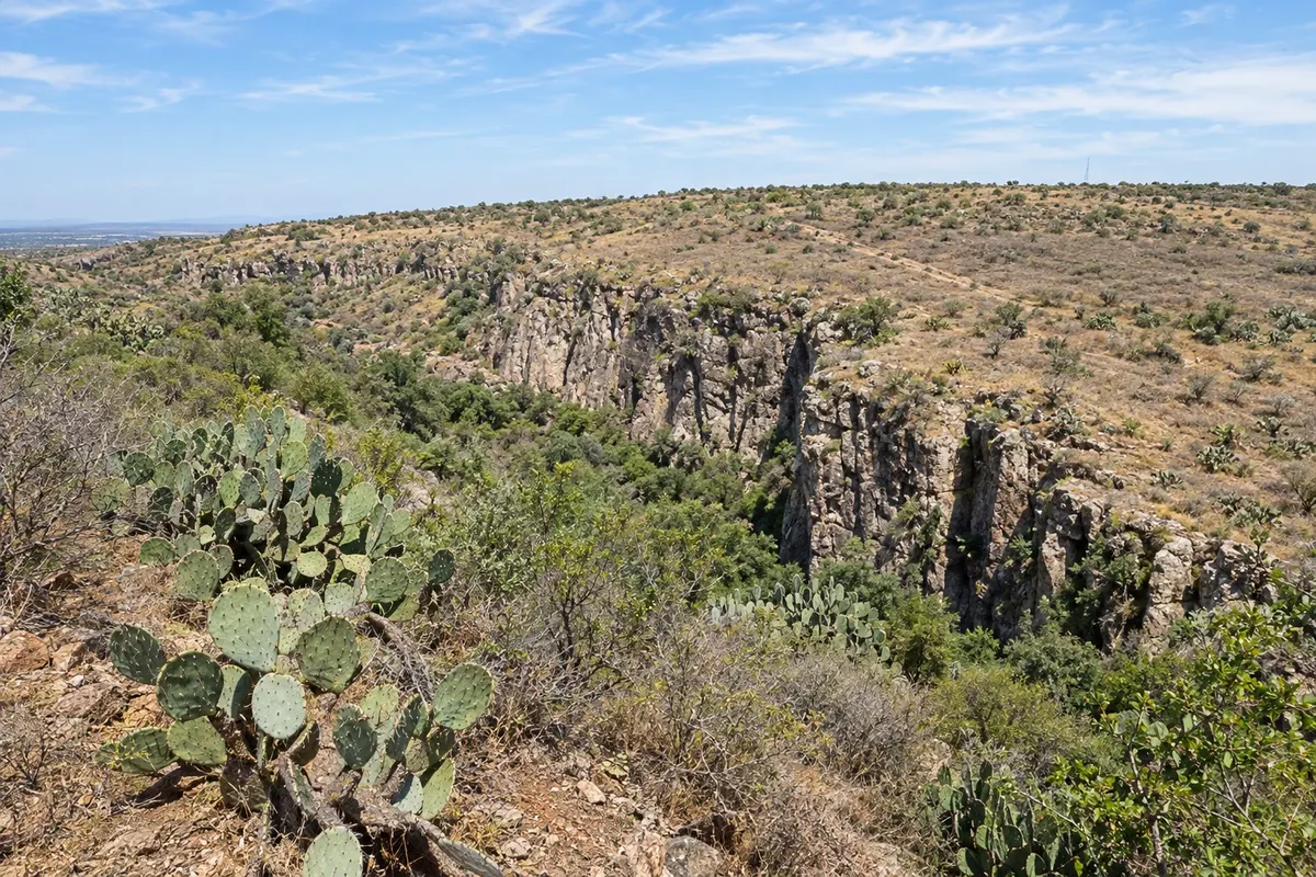 San Miguel de Allende